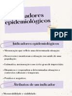 Indicadores Epidemiológicos: Docente: Hiêza Pena