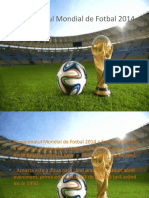 Campionatul Mondial de Fotbal 2014