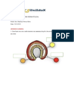 Atividade Avaliativa Anatomofisiologia da Pele