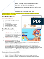 Terapia del dolor: anticonvulsivantes, antidepresivos y antiparkinsonianos