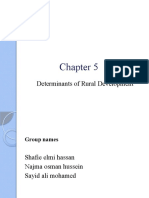 Determinants of Rural Development Chapter Explains Key Factors