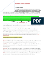 Bloqueadores de Calcio - Módulo 3 DiHidropiridinas