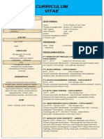 Curriculum Vitae