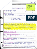 Anatomia PDF