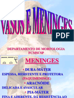 Meninges e irrigação do SNC