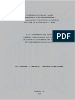 Relatório de Aula Prática 2 - Circuitos Retificadores