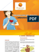 Sistema cardiovascular: Funcionamiento y prevención del riesgo