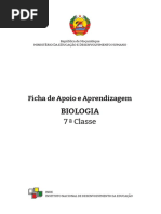 Manual de Biologia 7 Classe | PDF | Semente | Raiz