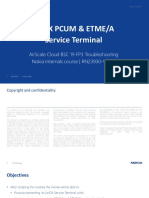 Lindx Pcum & Etme/A Service Terminal: Airscale Cloud BSC 19 Fp3 Troubleshooting Nokia Internals Course - Rn23930-V-19F3