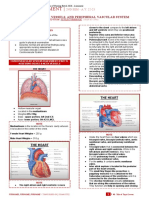 Health Assessment: Assessing Heart, Neck Vessels, and Peripheral Vascular System