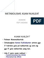 Metabolisme Asam Nukleat: Jasman Fkip Undana