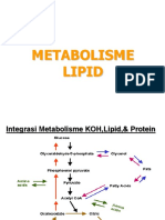 Integrasi metabolisme lipid, protein, dan karbohidrat