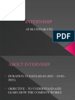 Internship: at Bluestar LTD