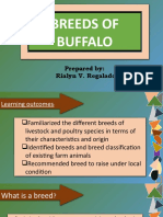 BREEDS OF BUFFALO (Revised)