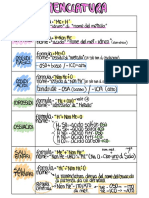 Nota 13 Gen 2021