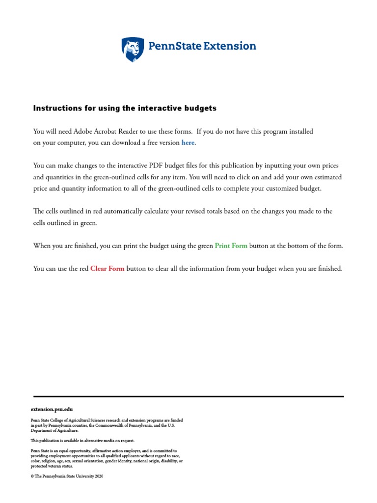 Budget For 100 Conventional Broilers PDF Economies Business