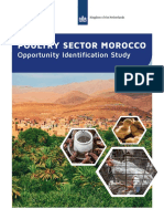 Poultry Opportunity Identification Study Morocco EKN Rabat