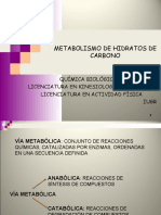 Metabolismo de Hidratos de Carbono - Biológica Ii (1) - 2017 (2) .