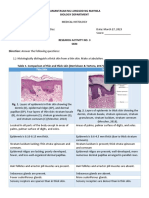 Skin Histology Comparison