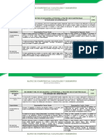 Matriz de desempeños PRIMARIA