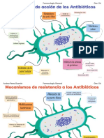 Mecanismos bacteria