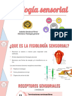 2 Fisiologia Sensorial