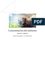 Contaminación Del Ambiente