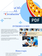 Evaluació N Inicial " Irculación": Grupo de Cirugía