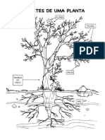 Adaptadas - Plantas