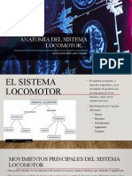 Anatomía Del Sistema Locomotor : Educación Física de 3º de Eso