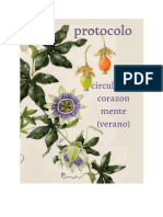 Protocolo Circulacion