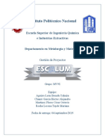 Escalumm 5 1