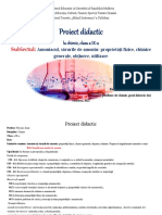 Proiect Didactic AMONIACUL CL 9