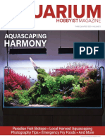 Harmony: Aquascaping