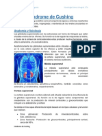 Síndrome de Cushing: causas, síntomas y tratamiento