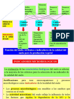 8.acción de Los Microorganismos