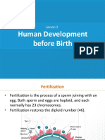 5.2 - Reproductive System-Human Development Before Birth