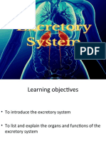 The Excretory System