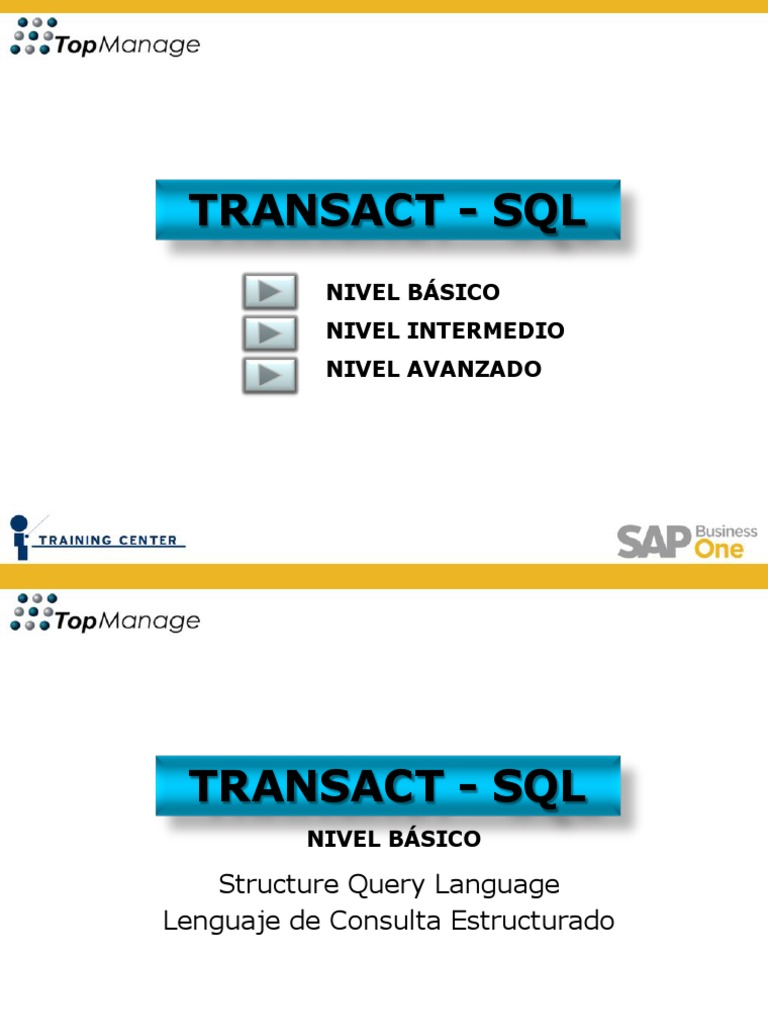 Introducción a Transact SQL Básico | PDF | Tecnología