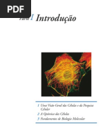 introduoabilogiacelular-110430082708-phpapp02