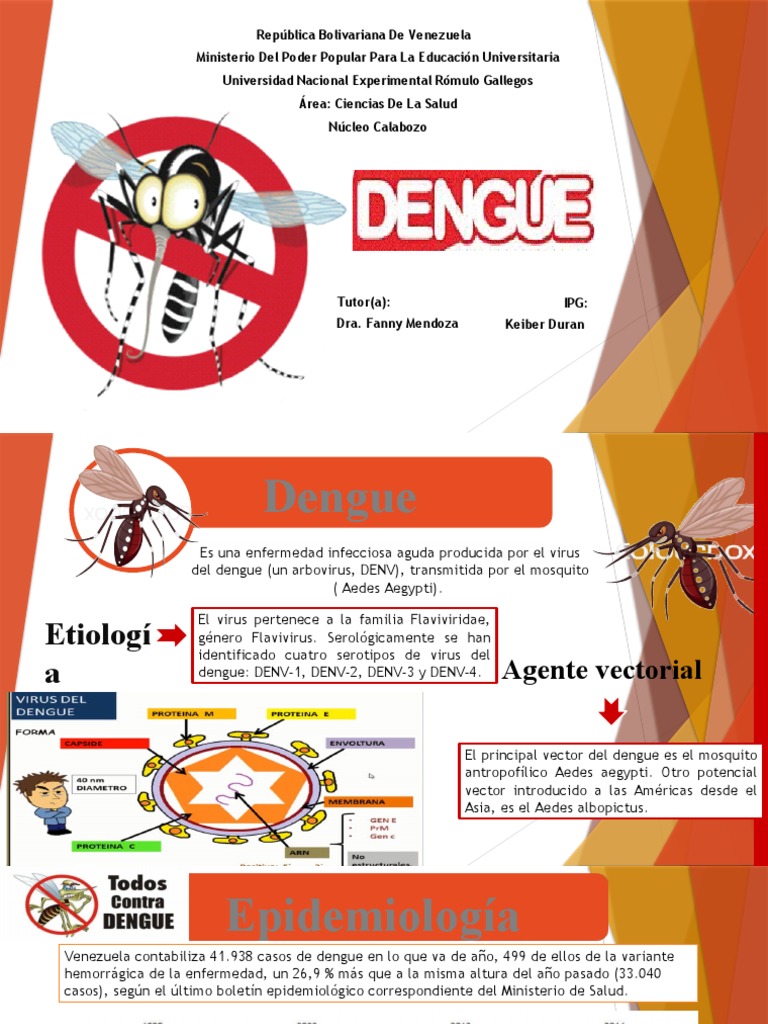 Dengue | PDF | Medicina | Epidemiología