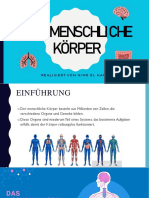 Der Menschliche Körper