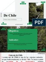 Zona Sur: de Chile