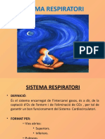 Sistema Respiratori