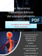 Las Neuronas y Conducta