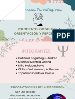 Procesos Psicológicos: Psicopatologías de La Orientación Y Percepción