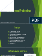 El Sistema Endocrino Ns