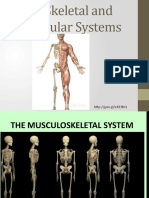 Week 5 Muscu Skeletal