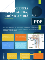 Insuficienciarenal 3