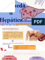 Hepatopatía alcohólica: factores de riesgo, diagnóstico y clasificación histológica